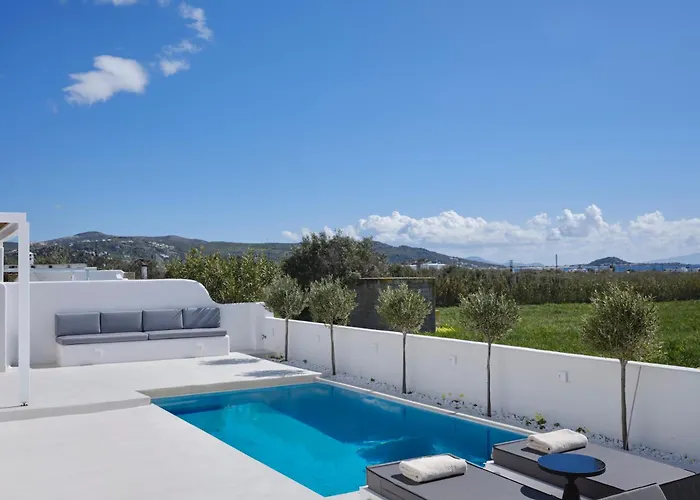 Villa Maestro Naxos Maragkas