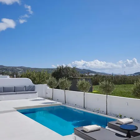 Villa Maestro Naxos Maragkas