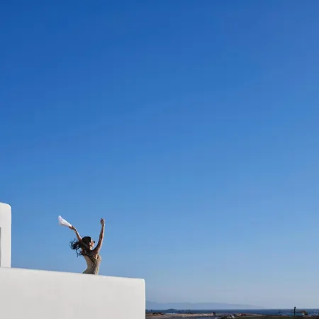 Maestro Naxos *